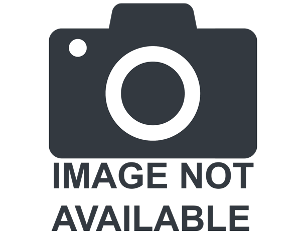 Miniature of Wabanaki History