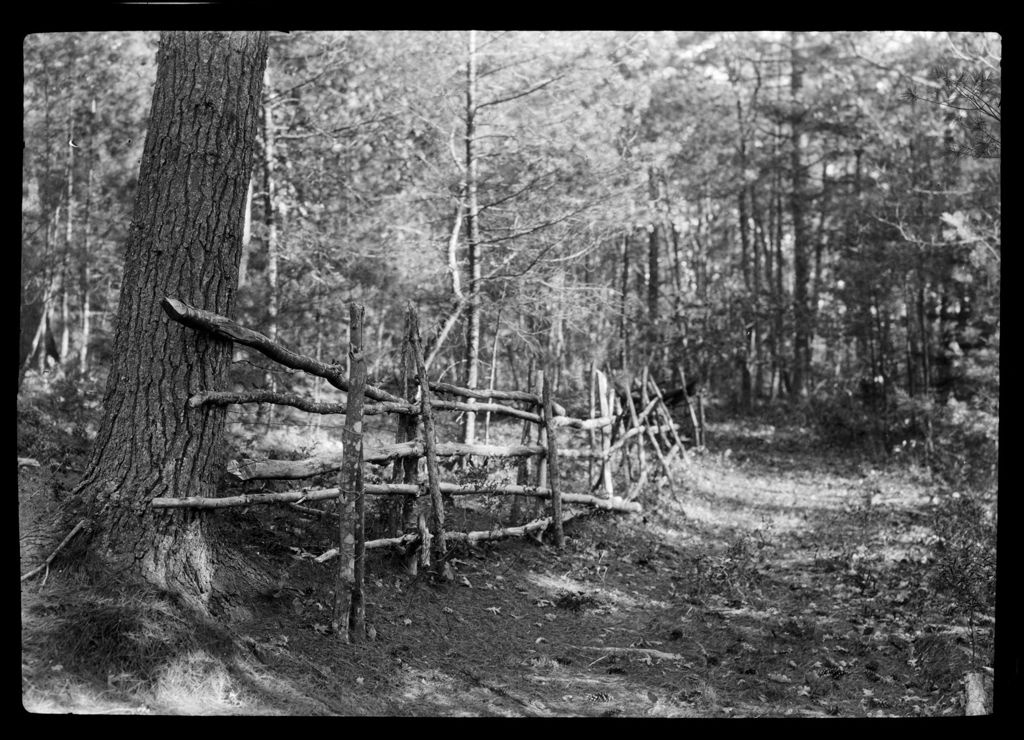 Miniature of An Old Log Fence In The Woods