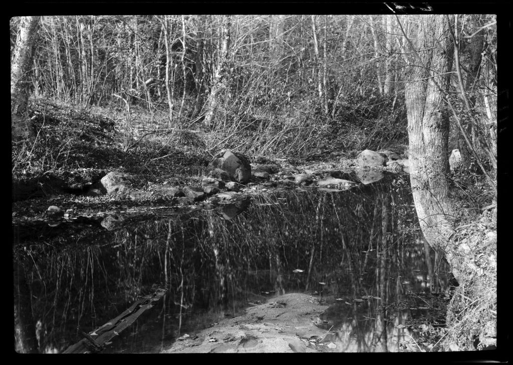 Miniature of Brook In The Woods "Home- Intervale Brook"