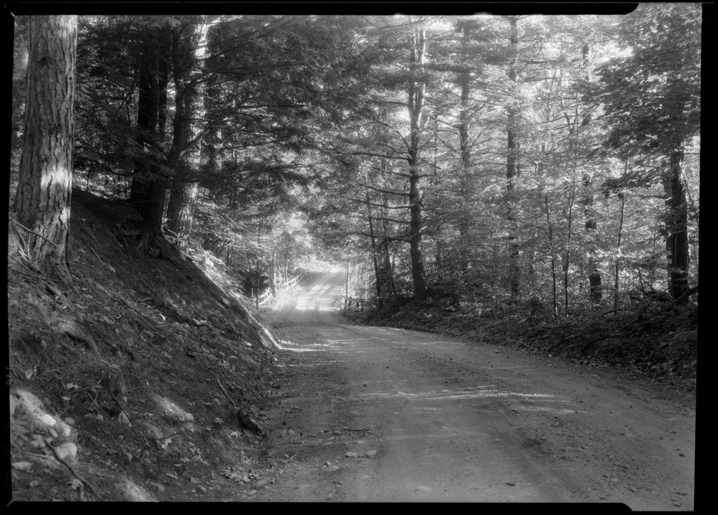Miniature of Road Through Pine Woods.