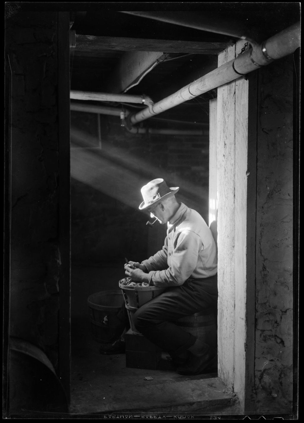 Miniature of (George) Man In Cellar Sorting Flower Bulbs