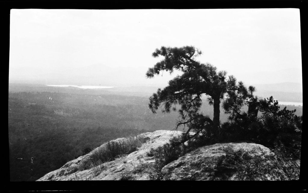 Miniature of Tree On Hilltop Foreground- Mountain Distant