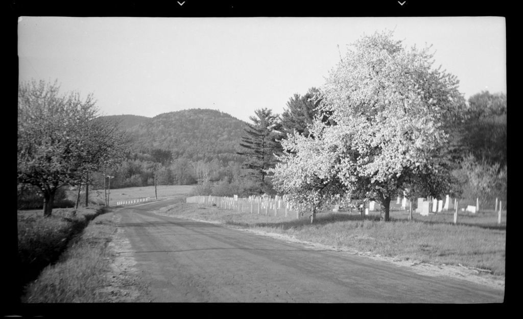 Miniature of Tree Lined Road And Distant Mountains