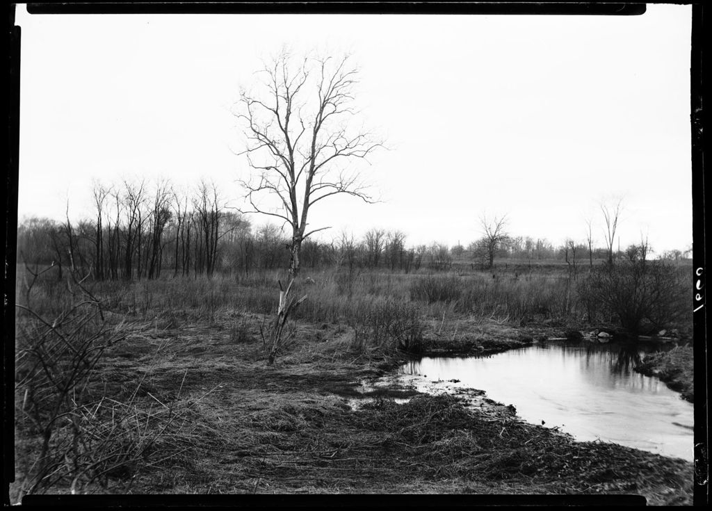 Miniature of Sunrise Over A Marsh