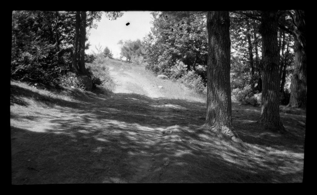 Miniature of Woods Road