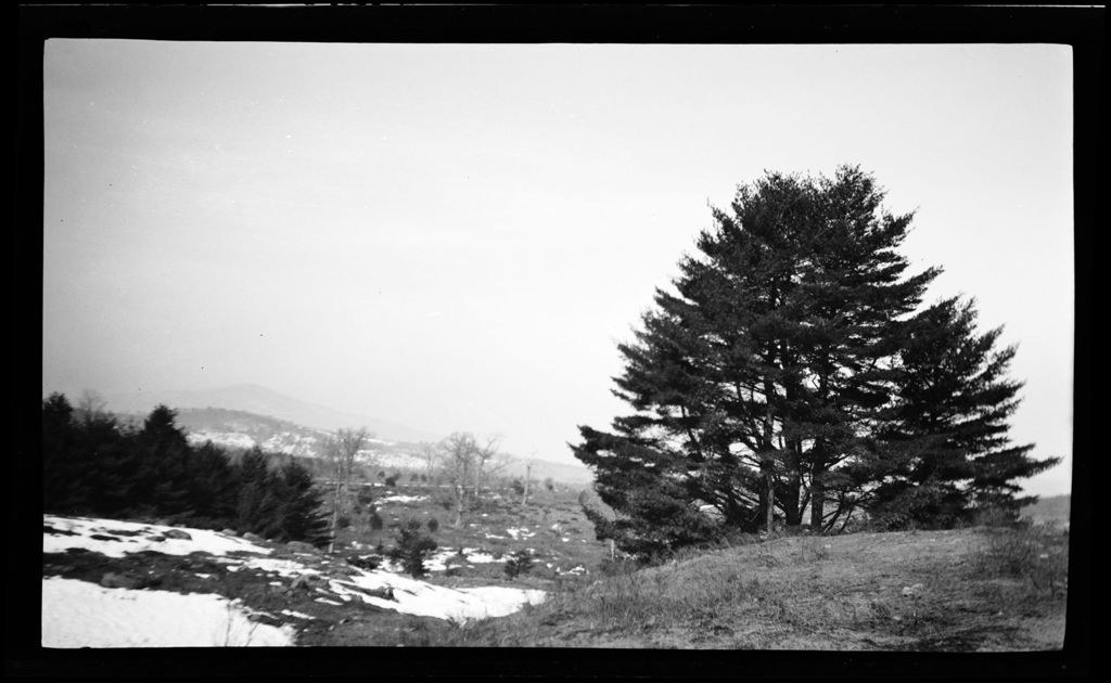 Miniature of Large Tree Foregroud, Hills And Mountains Distant