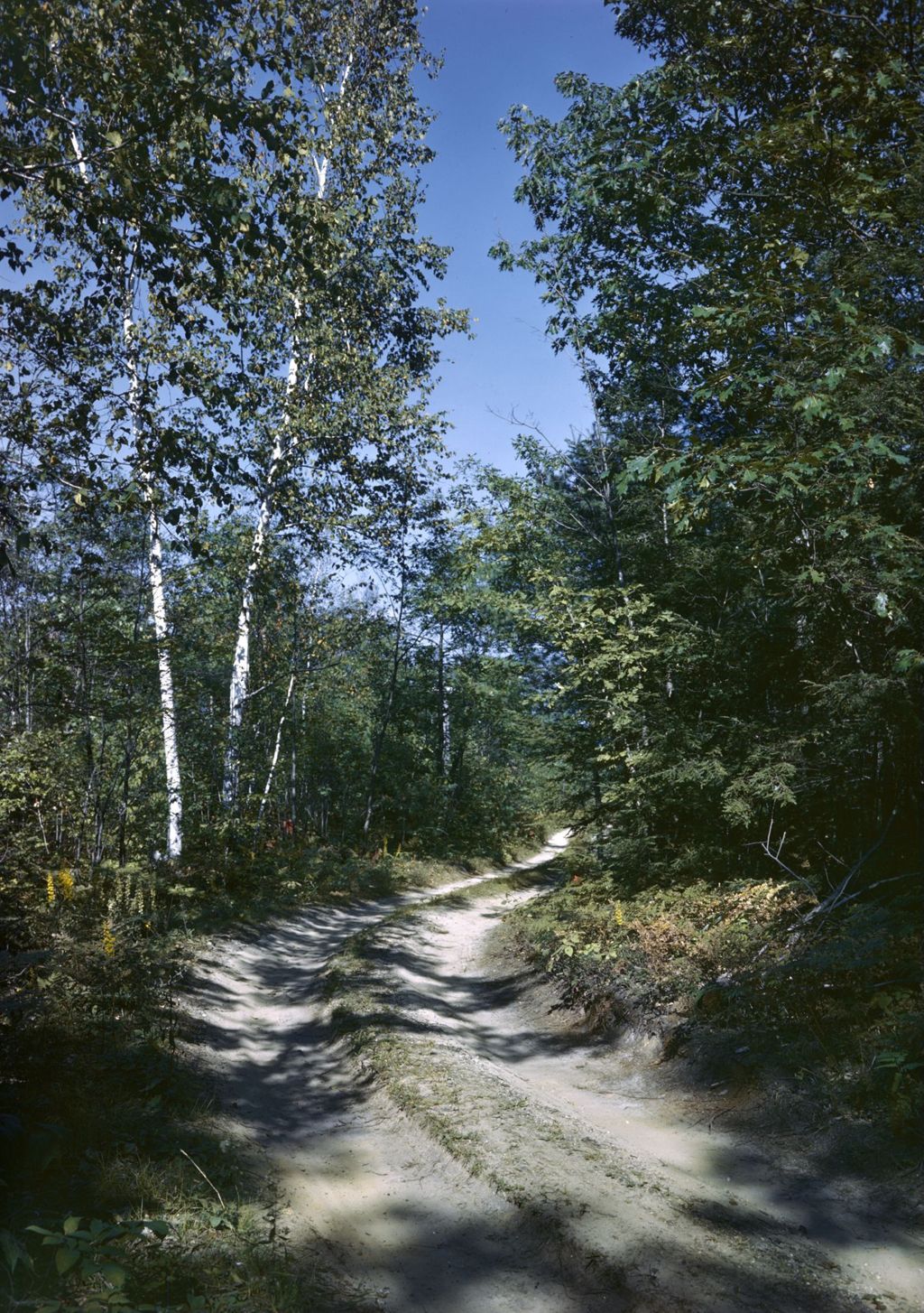 Miniature of Dirt Road Through Woods In Fryeburg