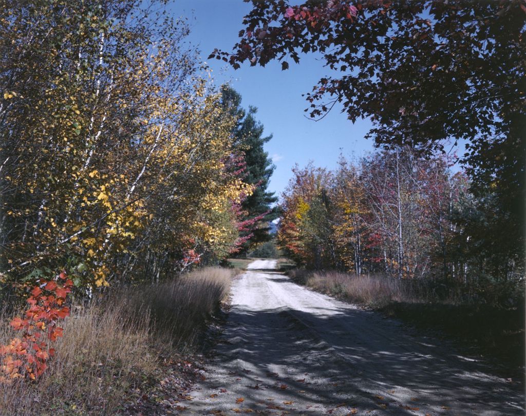 Miniature of Fall Foliage Along A Country Road In Conway, New Hampshire