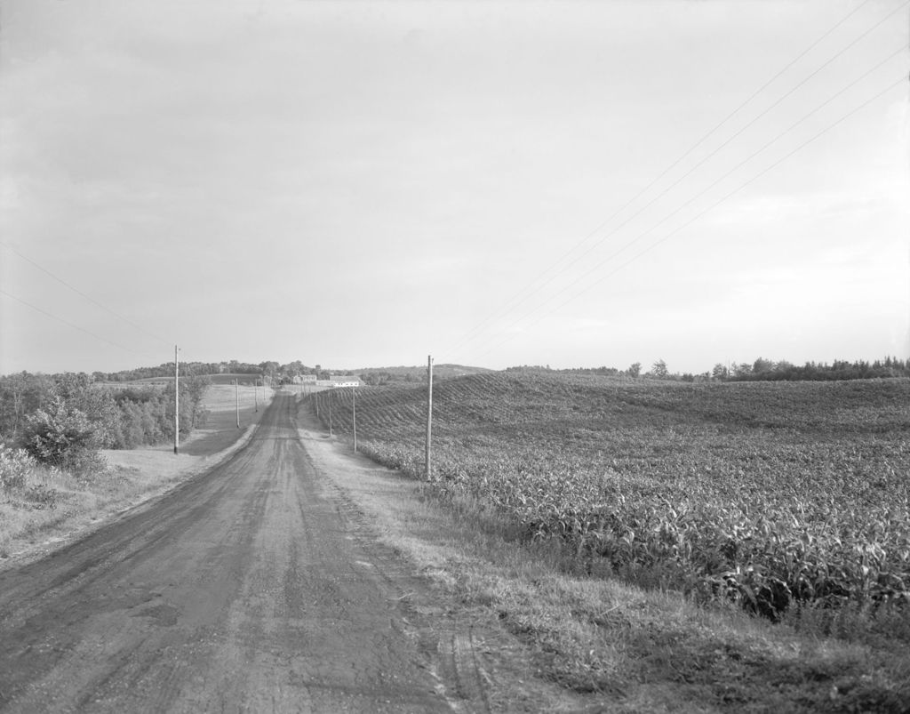 Miniature of Cornfield On Right Of Road Goes Long Way, Trees And Fields On Left, Farm Afar In Leeds