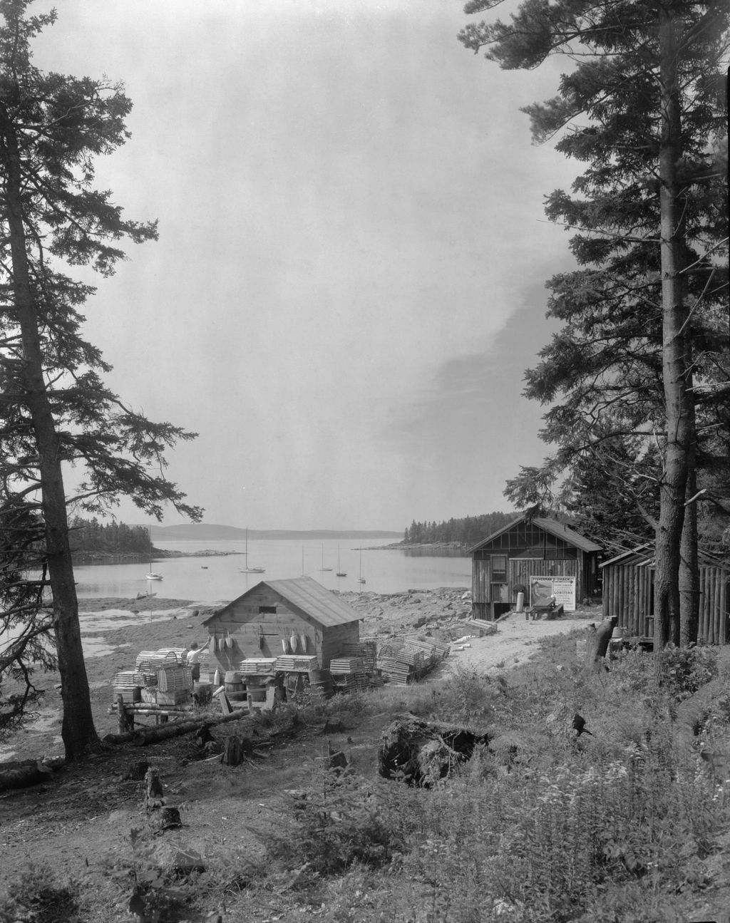 Miniature of View Of Lobster Shacks Through Trees, Water In Background At Sorrento