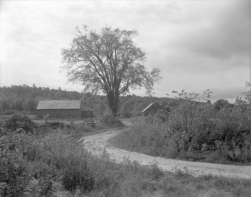 Miniature of Curved Road Goes By Old Farm, Giant Oak