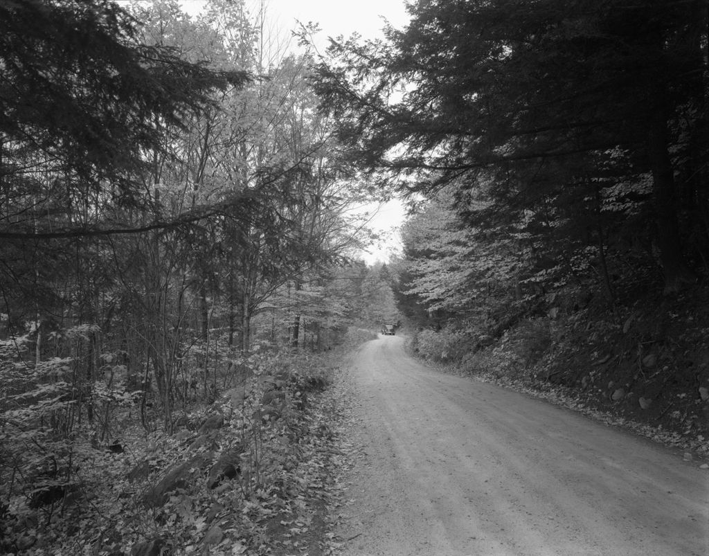 Miniature of Road Through The Woods