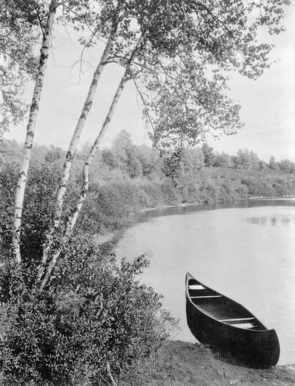 Miniature of Canoe, Birches And Stream At Indian Glen
