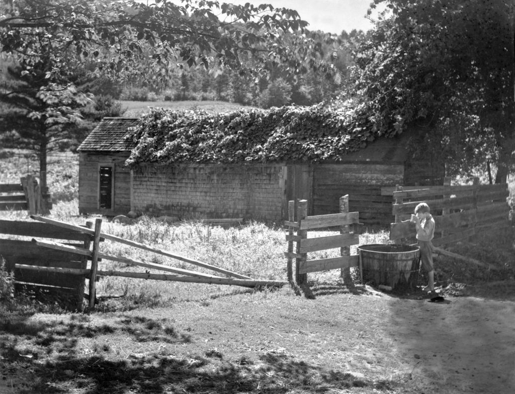 Miniature of Boy Getting Drink At Water Tub Near Fence