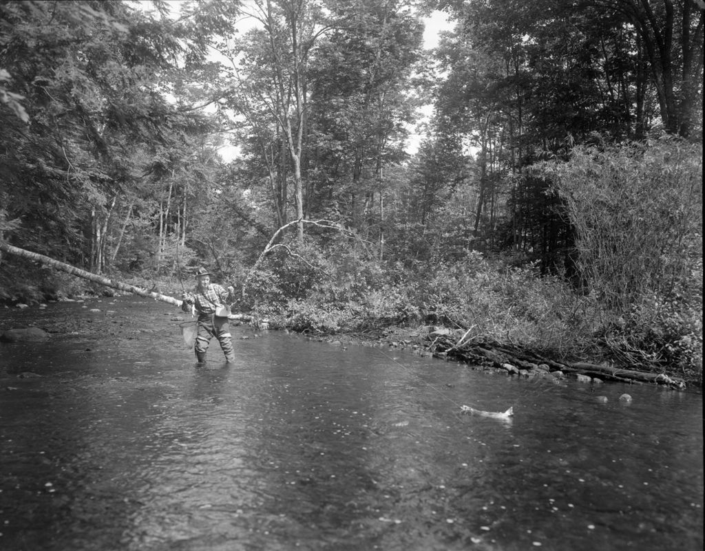 Miniature of Frank Stands In Stream Fighting Big Fish, Woods All Around In Parsonsfield