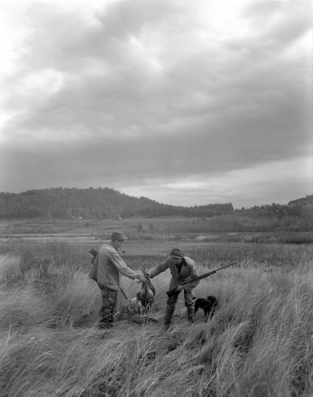 Miniature of Devaney Stands Left, Lester Passes Duck In Marsh With His Dog In Porter