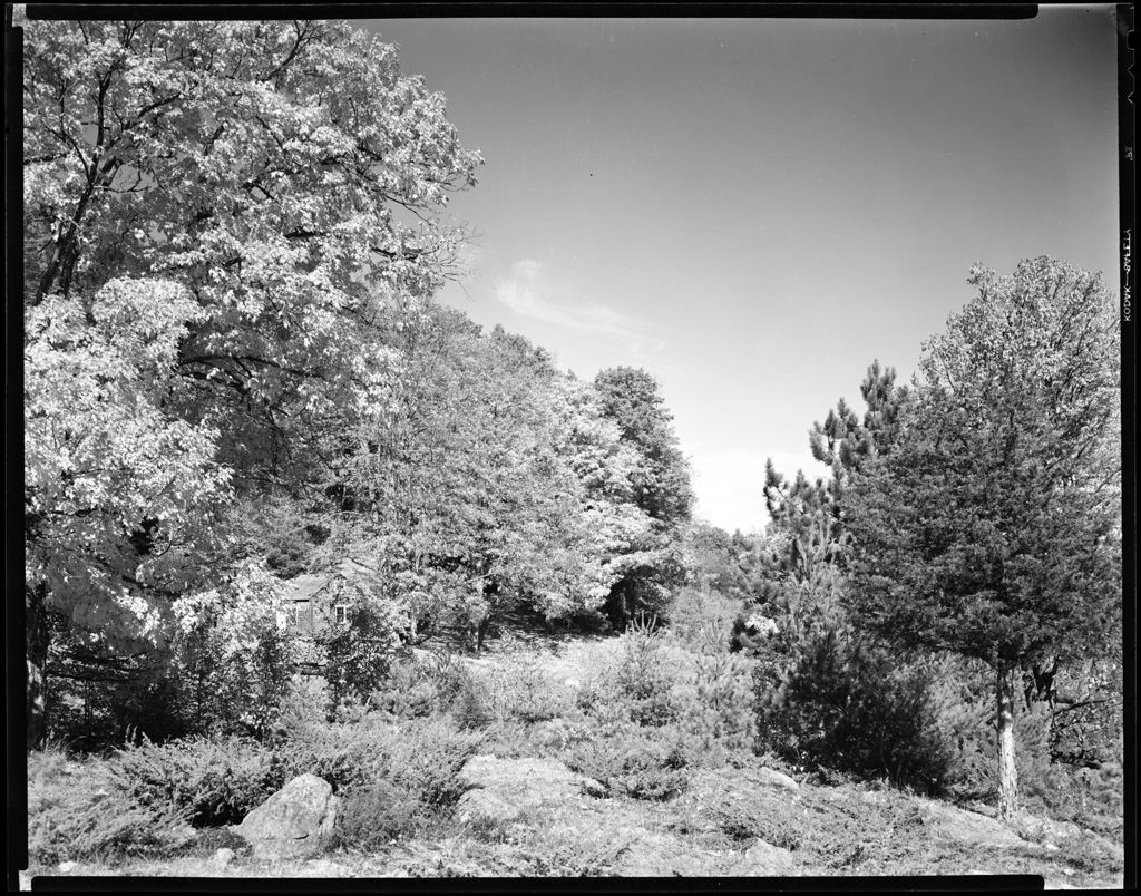 Miniature of View Of Frank Henderson's Sugarhouse Hidden Among The Trees In Parsonsfield
