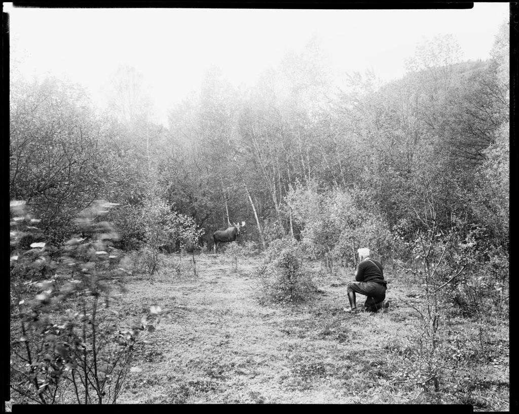 Miniature of George French, With Camera, Taking Picture Of A Moose In The Woods
