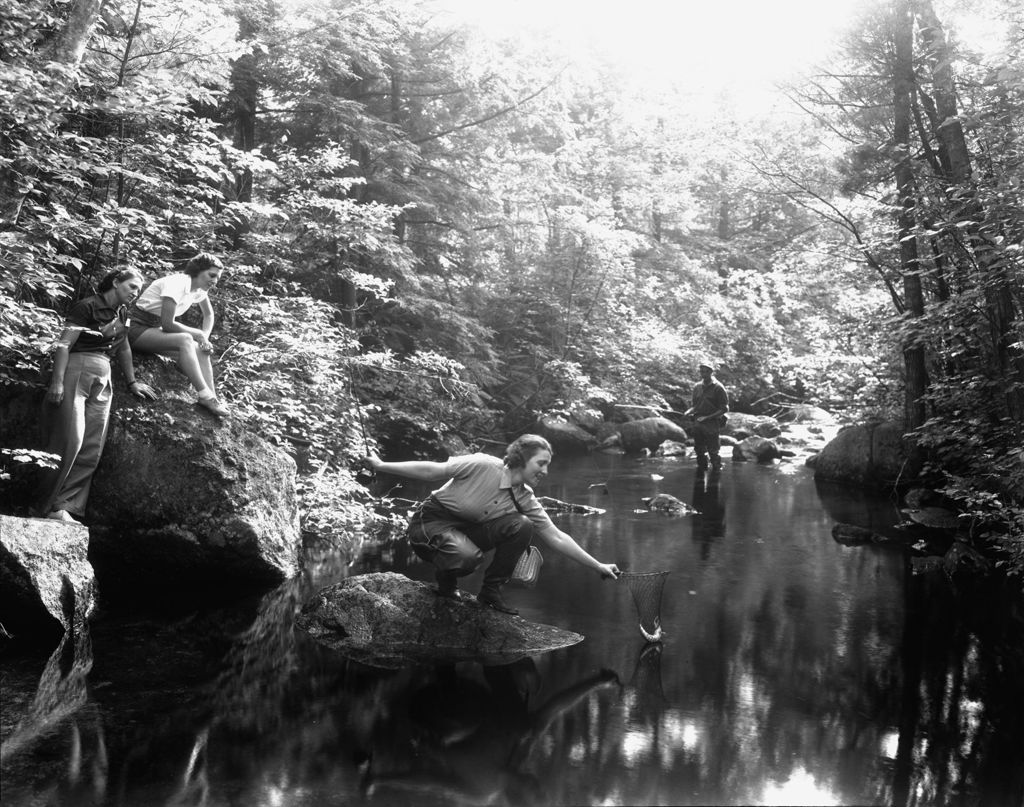Miniature of Two Women Watching Another Fish