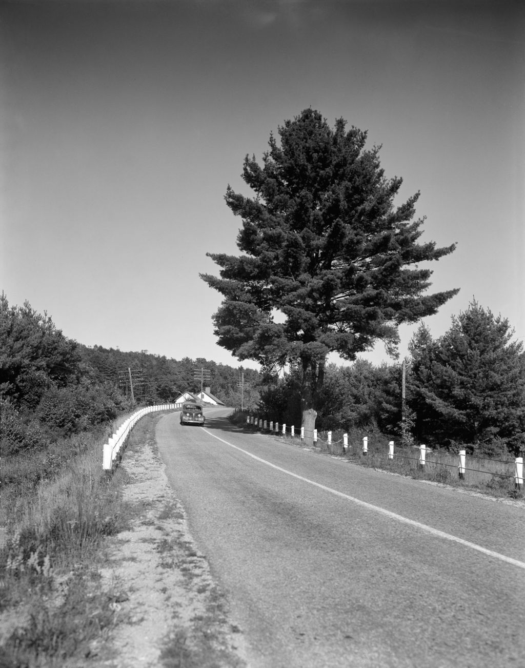 Miniature of Blacktop Highway Through Countryside Near Poland