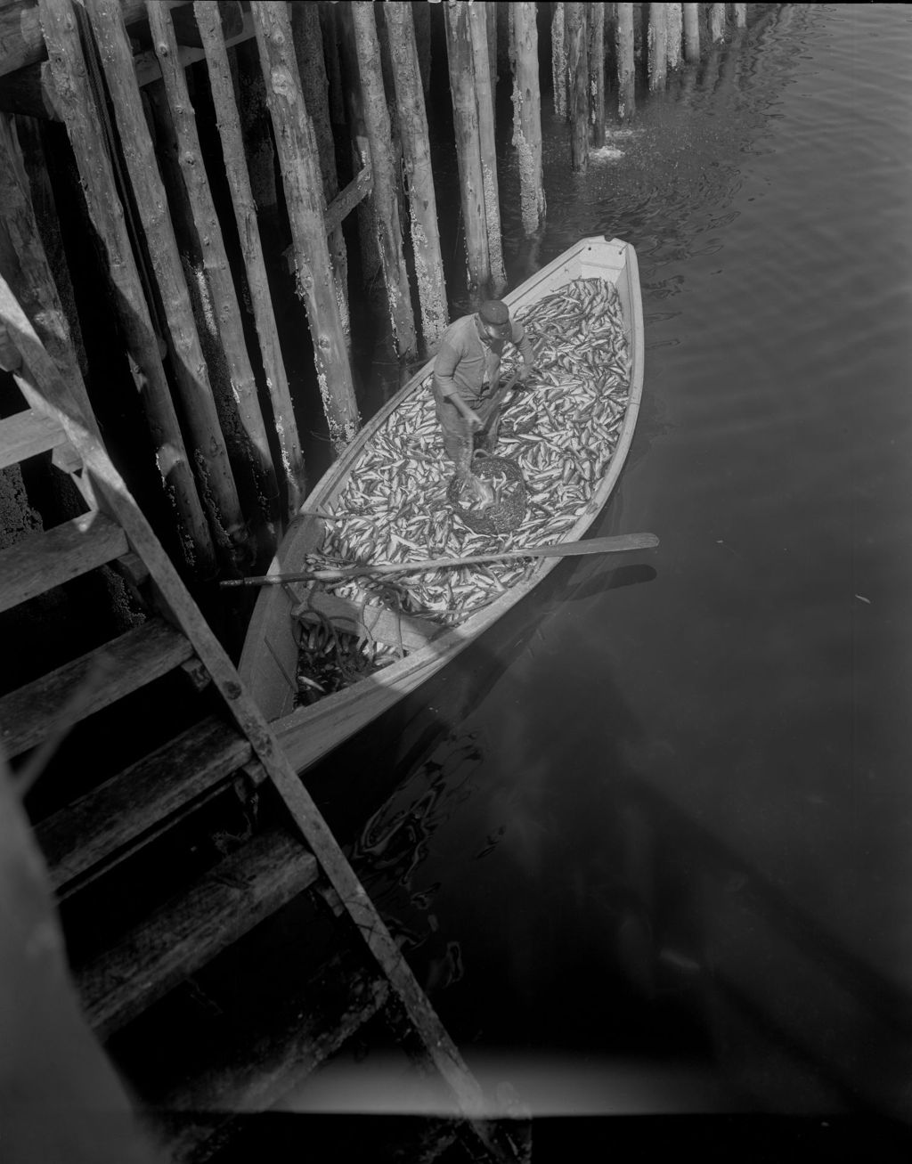 Miniature of Worker Unloading Herring From A Dory