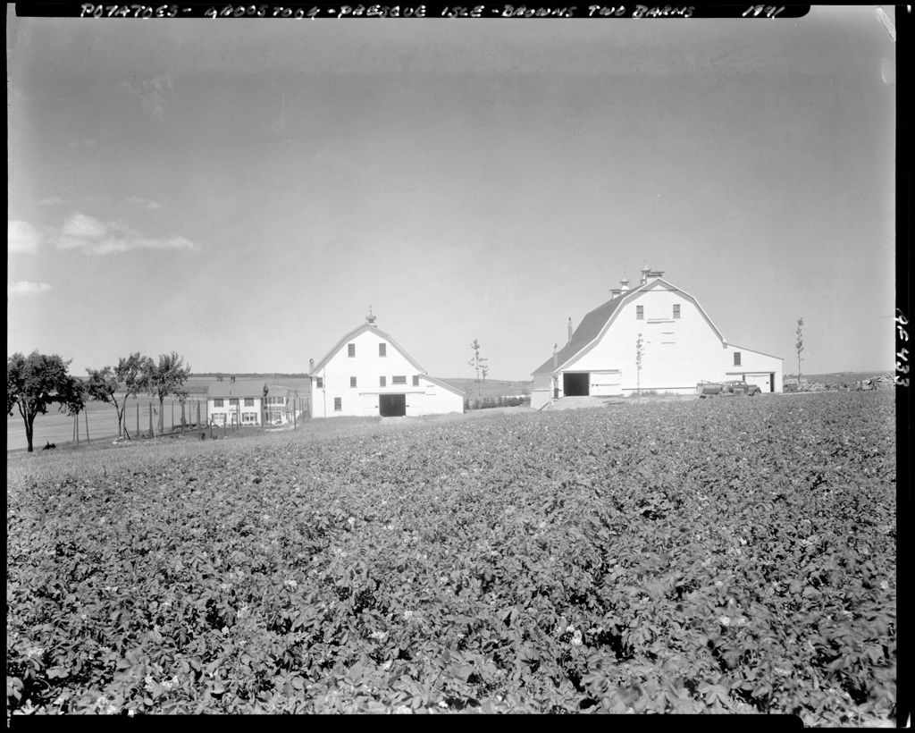Miniature of Farm Buildings And Potato Fields--Presque Isle