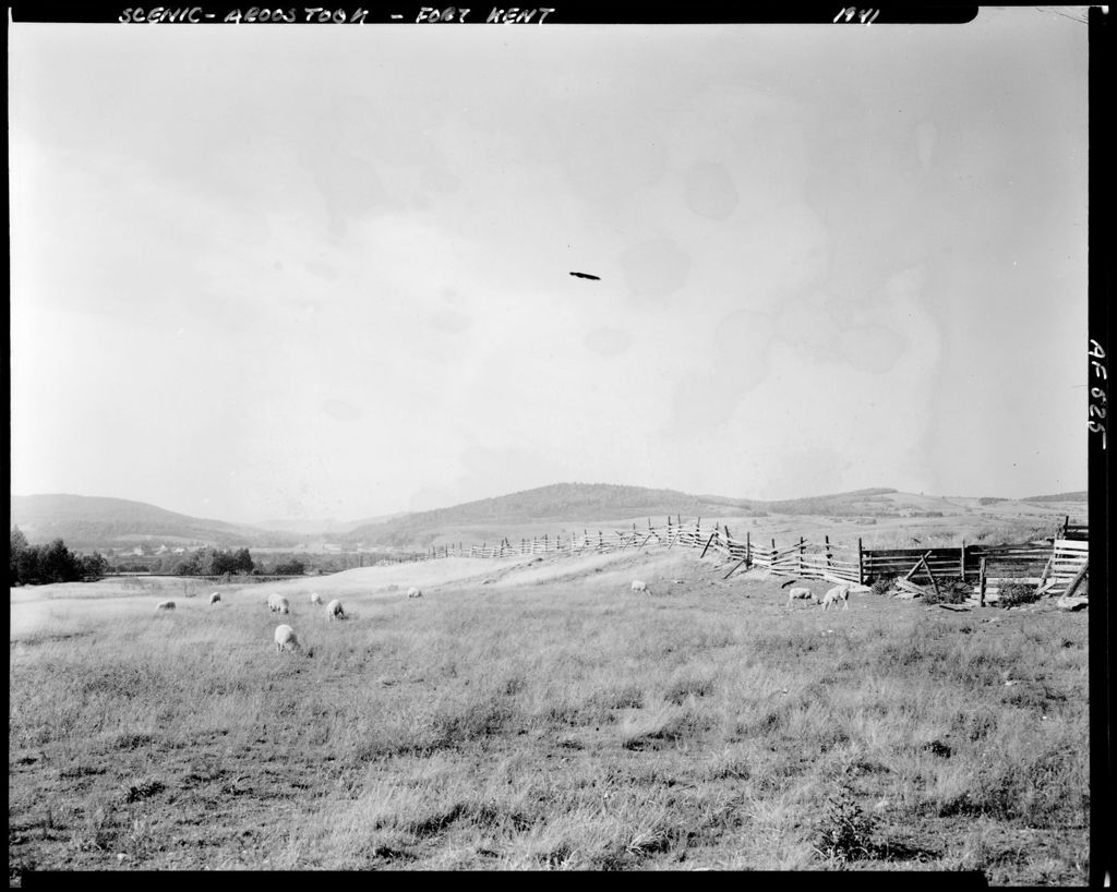 Miniature of Sheep Grazing In A Pasture Near A Split Rail Fence, Mountains In The Distance--Fort Kent