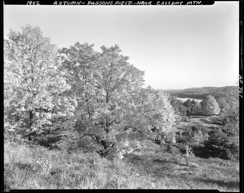 Miniature of Fall Foliage And Lake View Near Callomy Mountain Parsonsfield