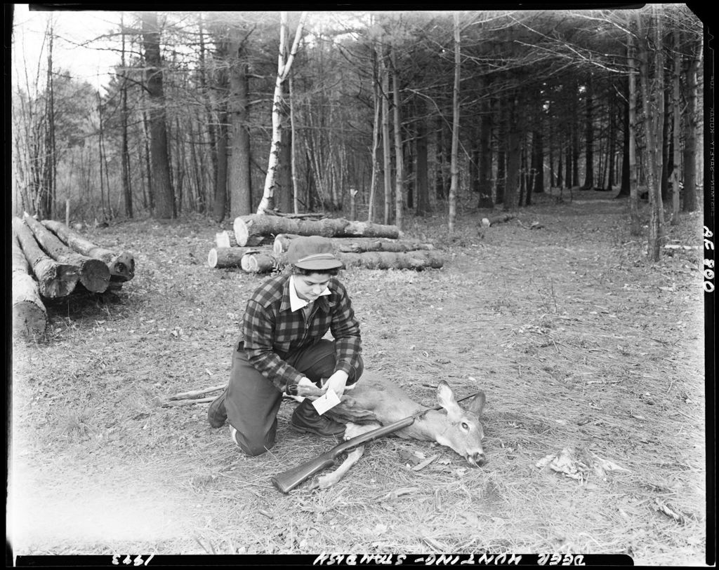 Miniature of Woman Hunter Tagging A Deer--Standish