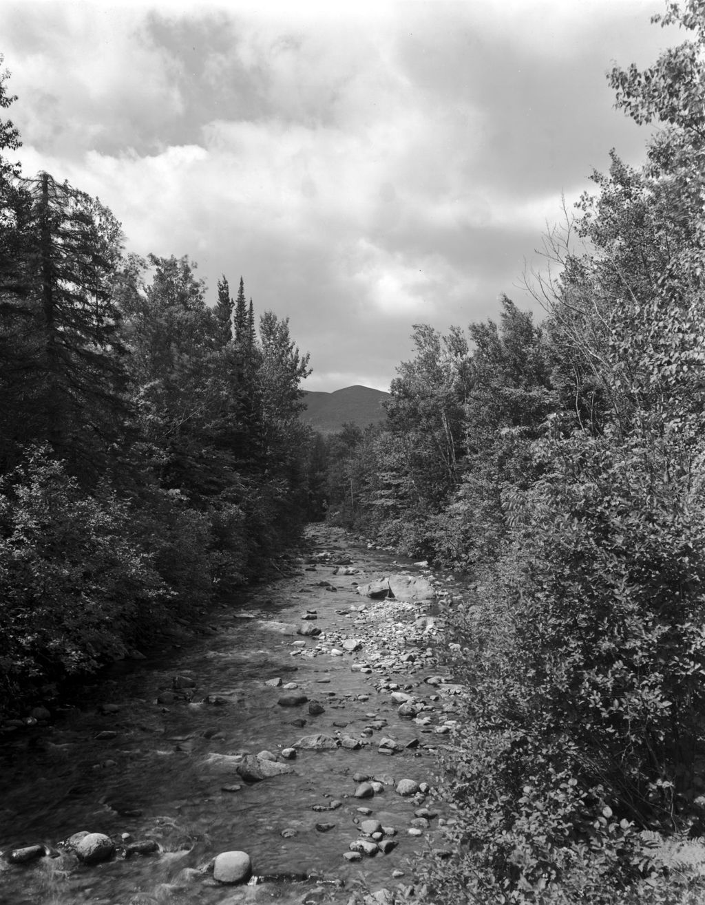 Miniature of Carrabasset Stream--Sugar Loaf
