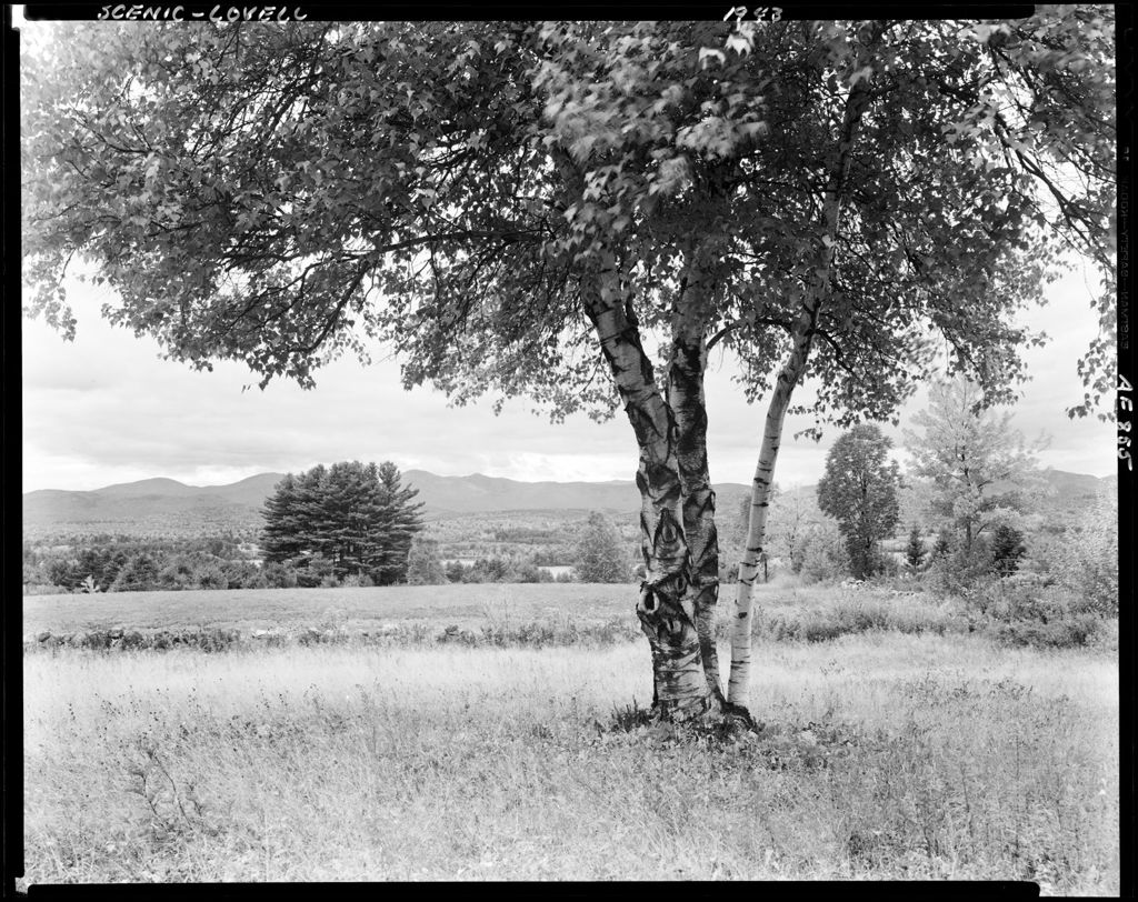 Miniature of Distant View Of Lake And Mountains Around Lovell