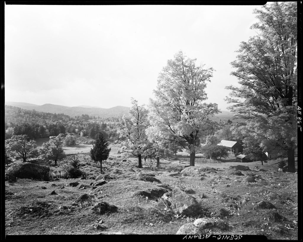 Miniature of Fields And Hills In Albany