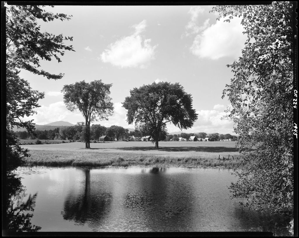 Miniature of Two Large Trees In A Field Near A Pond In Lovell