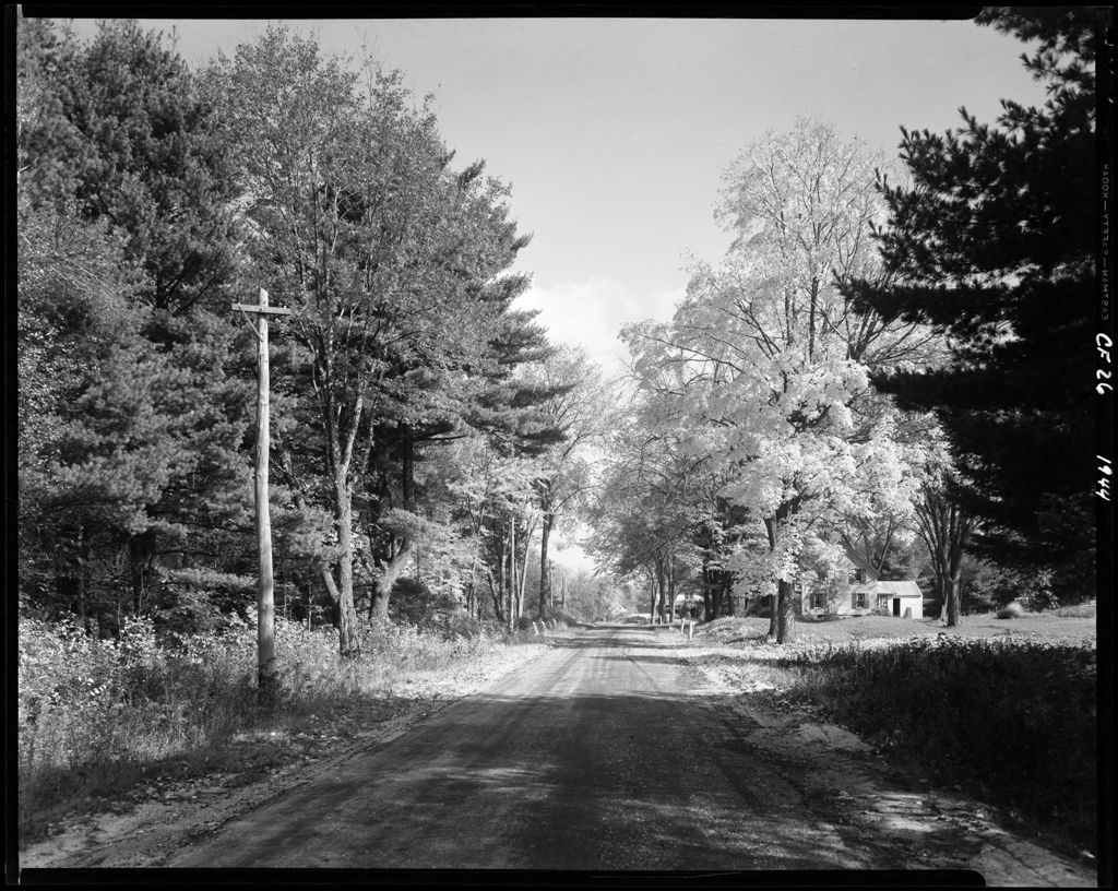 Miniature of Tree Lined Highway In Baldwin