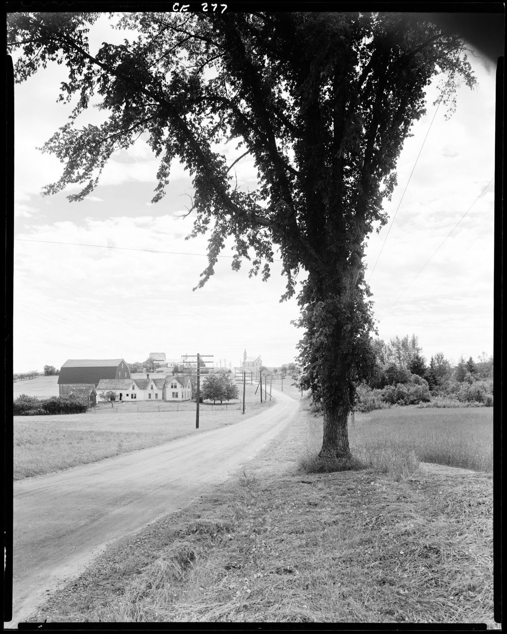Miniature of Large Tree In Foreground, Road Leading Off Toward Distant Hill And Church, Farms On Left Side Of Road In Dyer Brook