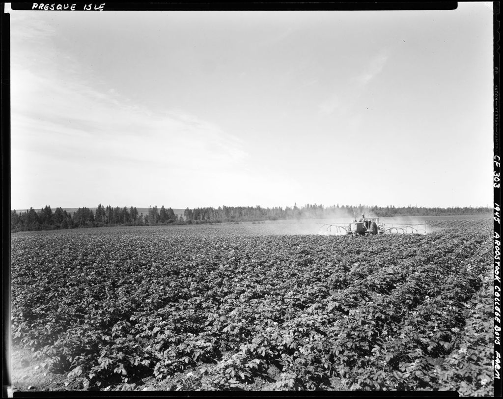 Miniature of College Boys Using A Tractor To Spray A Potato Field In Presque Isle