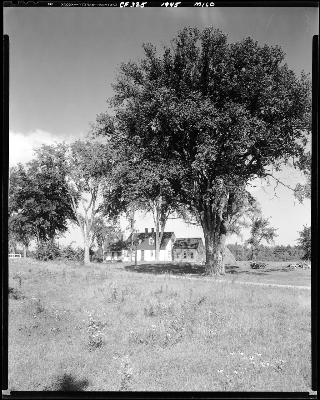 Miniature of View From Across A Field Of A House With Large Shade Trees Out Front In Milo