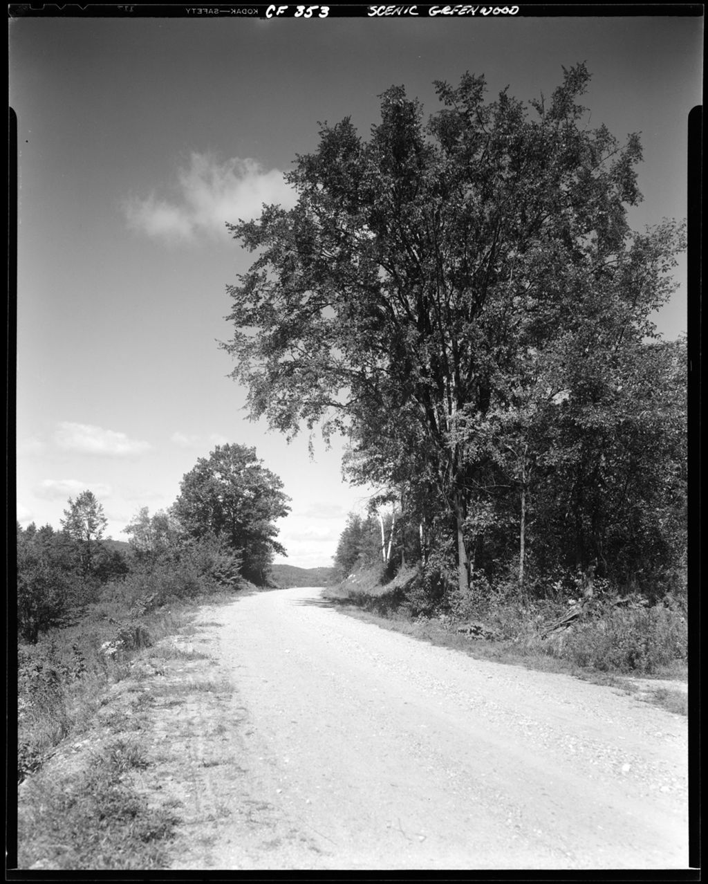 Miniature of Tree Lined Gravel Road In Greenwood
