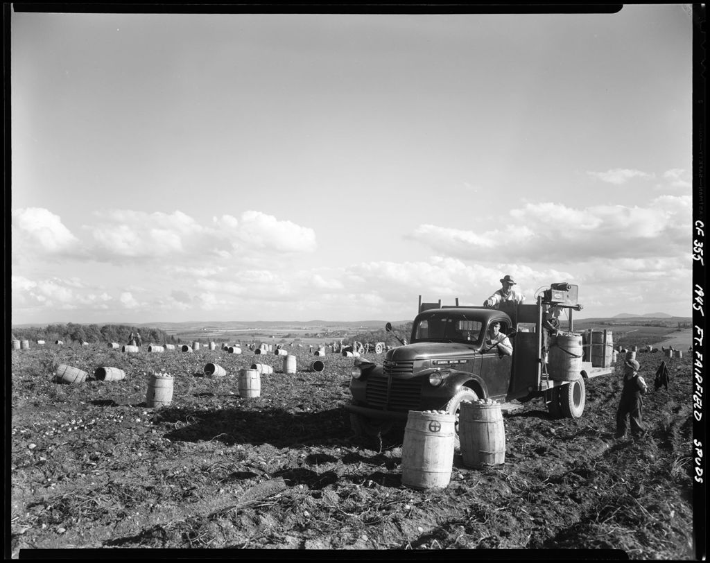 Miniature of Workers With A Truck Picking Up Barrels Full Of Potatoes