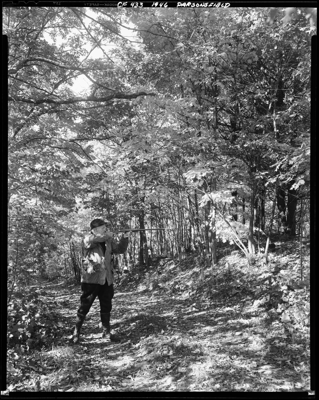 Miniature of Hunter In Woods With Shotgun Up At The Ready In Parsonsfield