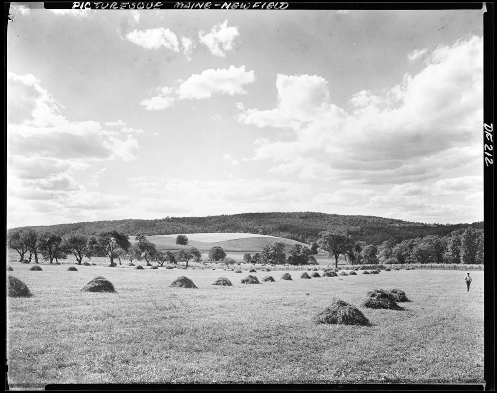 Miniature of Hay Stacks In A Field With Rolling Hills In Background In Newfield
