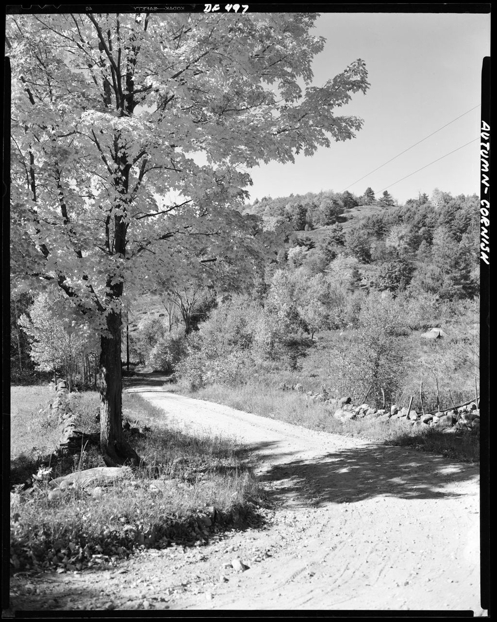 Miniature of A Country Road In Fall At Cornish