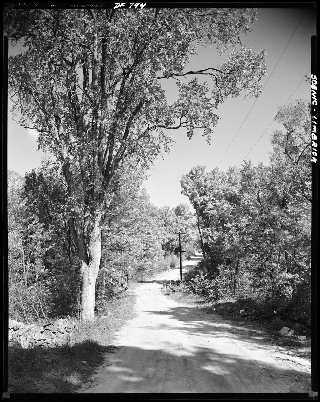 Miniature of Gravel Road Through The Woods In Limerick