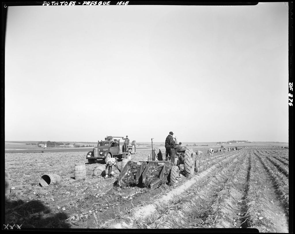 Miniature of Worker Using Tractor To Dig Potatoes, Truck With Workers Loading Barrels Full Of Potatoes In Presque Isle