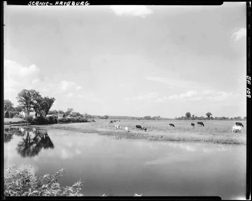 Miniature of Clouds Reflected In A Pond In Fryeburg, Cattle Grazing In Pasture On Other Side Of Pond