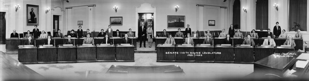Miniature of 110th Legislature Senate