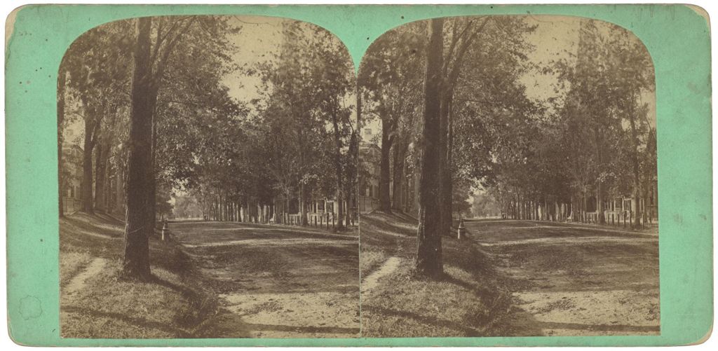 Miniature of State Street from Spring Street, Portland, ME