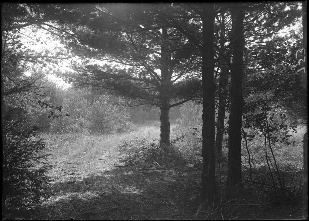 Miniature of G547-209237-GP57359