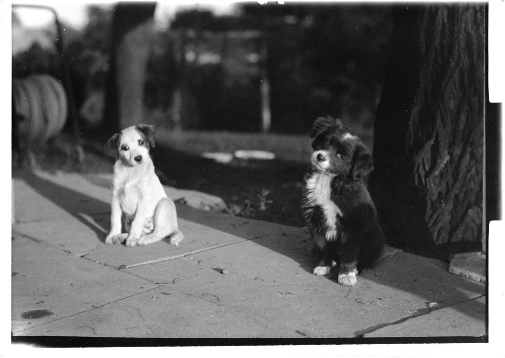 Miniature of G547-209270-GP57426